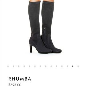 Aquatalia knee high suede boots